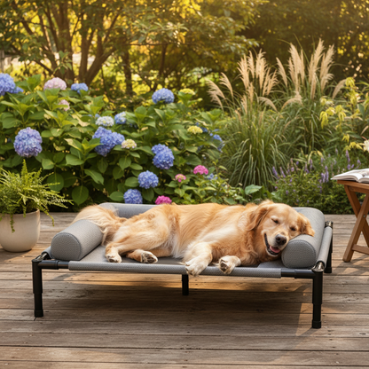 DOGHAVEN – Elevated Dog Bed for Garden and Outdoor Use