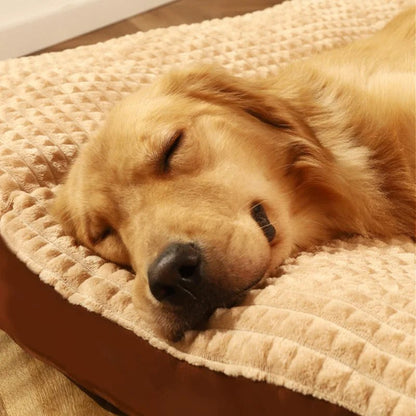CLOUDPAW – Soft dog bed with supportive foam and cotton cover
