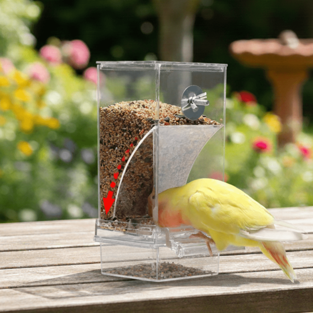 SPILLNEST – Automatic bird feeder for outdoors with drip- and splash-protected housing