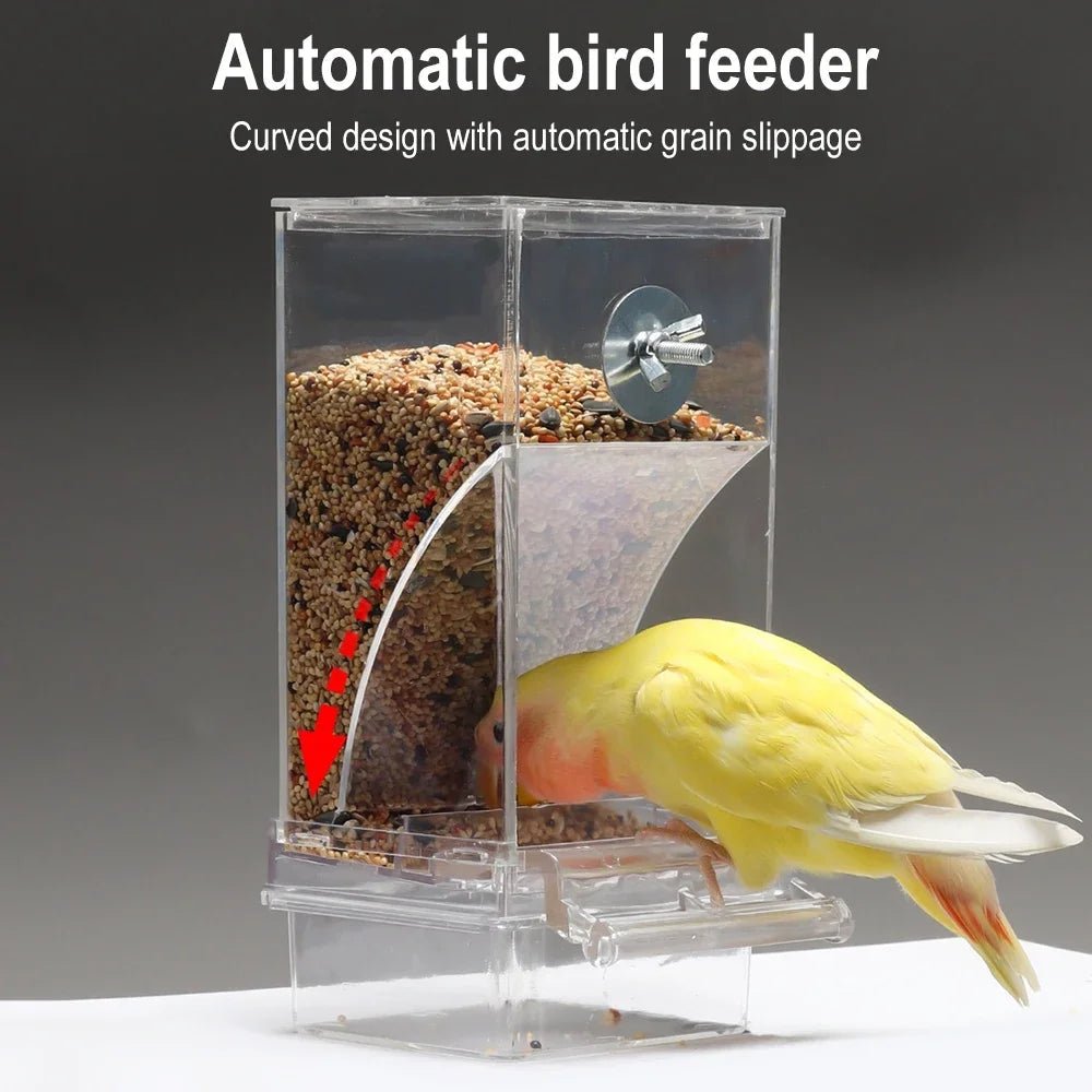 SPILLNEST – Automatic bird feeder for outdoors with drip- and splash-protected housing