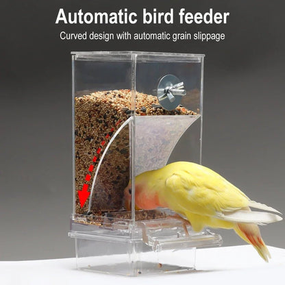 SPILLNEST – Automatic bird feeder for outdoors with drip- and splash-protected housing
