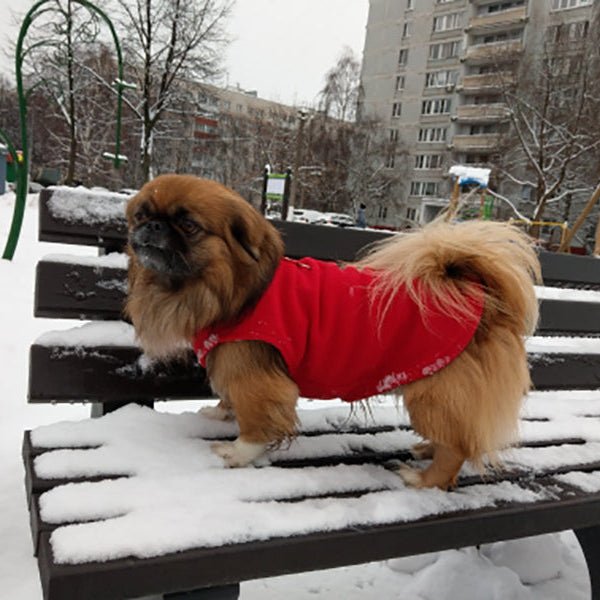 PETSNUG – Warm Dog Vest with D-Ring & Fleece Lining