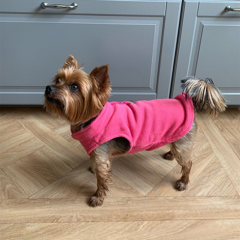 PETSNUG – Warm Dog Vest with D-Ring & Fleece Lining