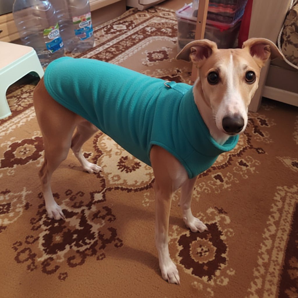 PETSNUG – Warm Dog Vest with D-Ring & Fleece Lining
