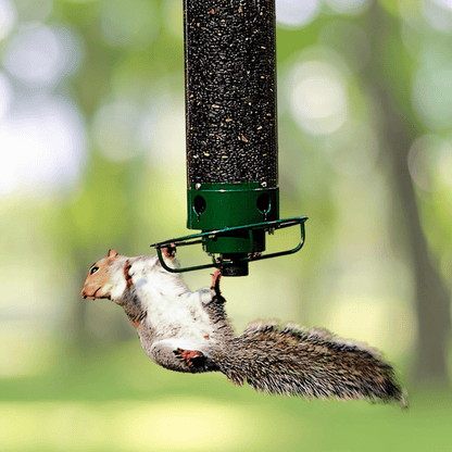 FeederGuard – Squirrel-Proof Birdhouse with Rotating Perch