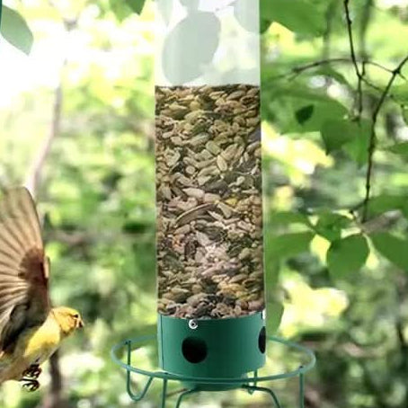 FeederGuard – Squirrel-Proof Birdhouse with Rotating Perch