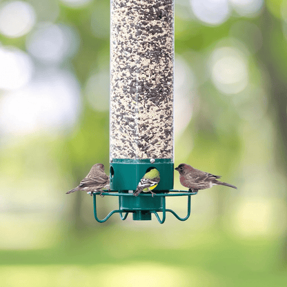 FeederGuard – Squirrel-Proof Birdhouse with Rotating Perch