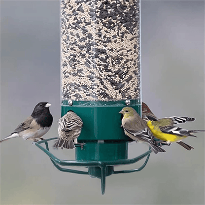 FeederGuard – Squirrel-Proof Birdhouse with Rotating Perch
