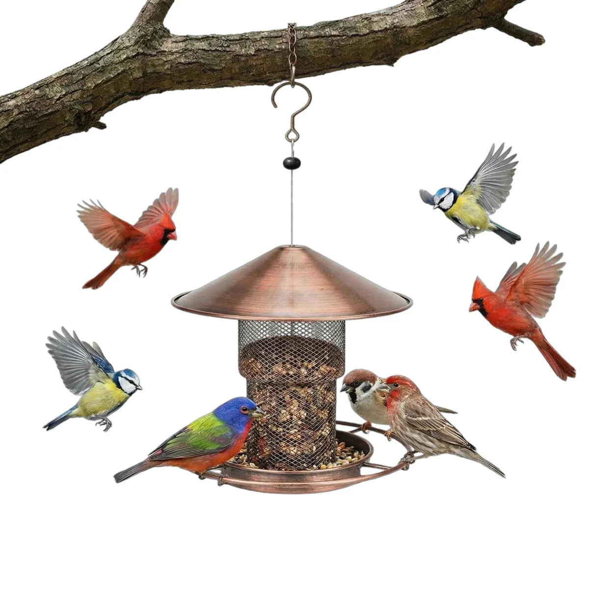 BIRDSAFE – Squirrel-Proof Bird Feeder Made of Iron
