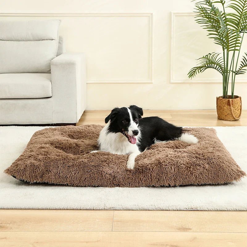 PETSIESTA – Extra soft rectangular dog bed for highest lying comfort