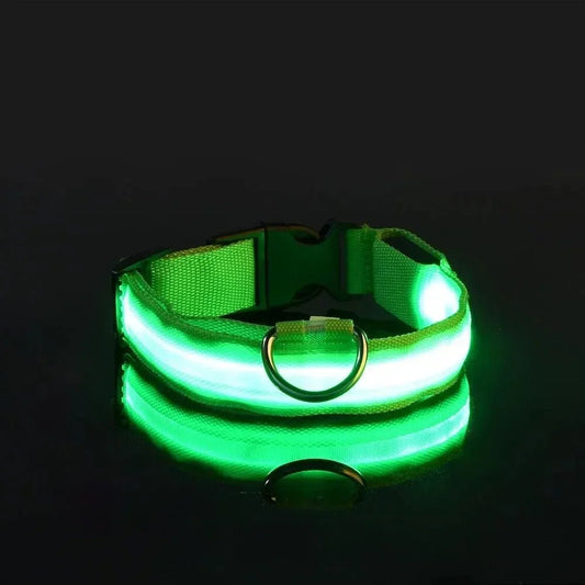 GLOWRUN – LED Safety Dog Collar with Adjustable Fit