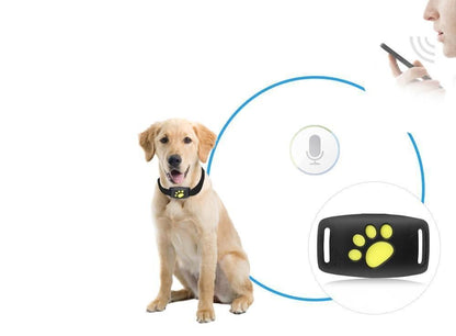 CAT GPS Tracker – Real-time Tracking Without Subscription
