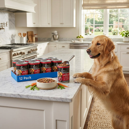 Pure Balance Grain-Free Wet Dog Food Beef Stew Adult Dogs 12 Pack 12.5 oz Cans Natural Recipe