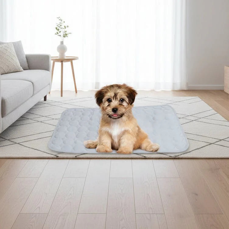PAWCOT – Cooling Pet Cushion for Small Dogs & Cats