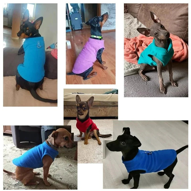 PETSNUG – Warm Dog Vest with D-Ring & Fleece Lining