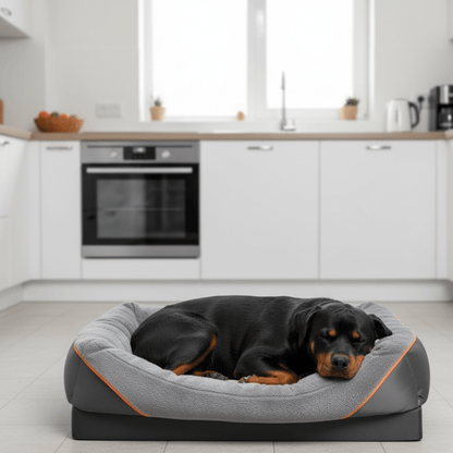 LEVAPET – Waterproof orthopedic dog bed with elevated pillow & memory foam support