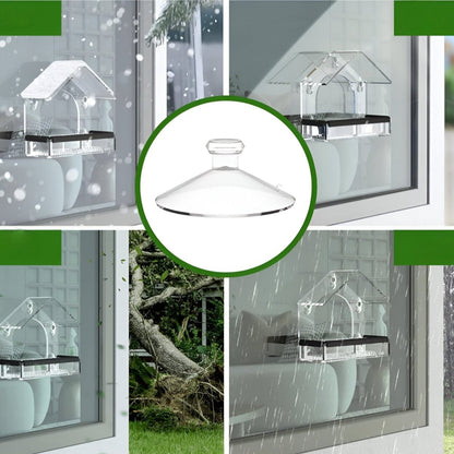 BIRDVISTA – Acrylic Window Bird Feeder with Strong Suction Cups for Close Observation