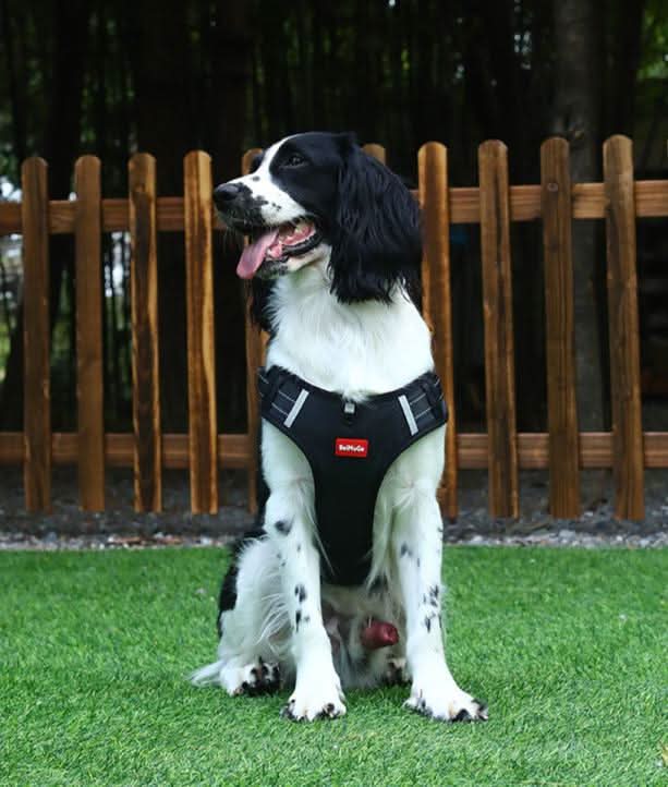 WalkEase Harness - anti-pull dog harness for pain-free walks