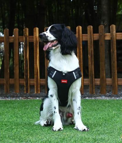 WalkEase Harness - anti-pull dog harness for pain-free walks