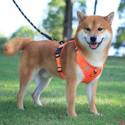 WalkEase Harness - anti-pull dog harness for pain-free walks