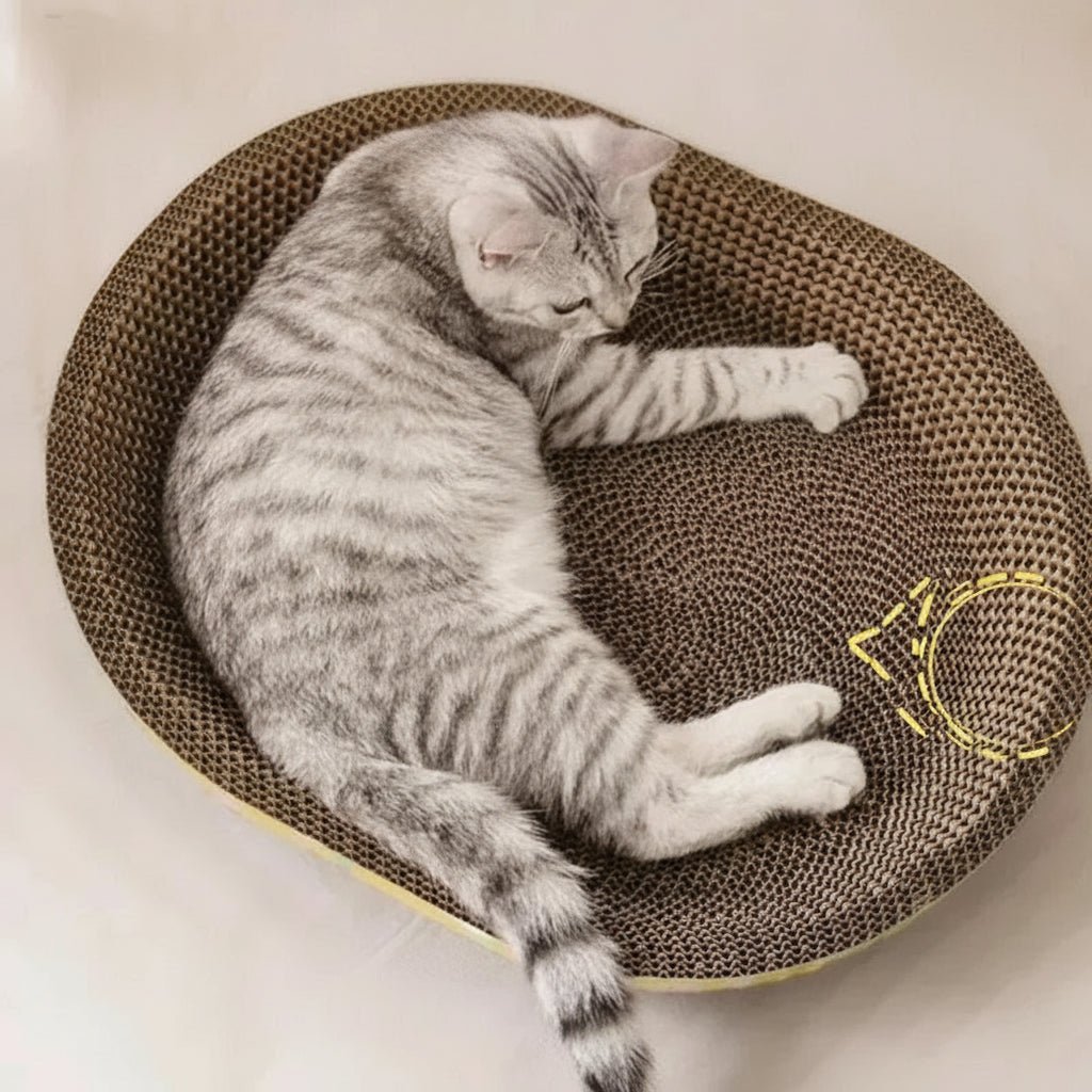 CLAWCRADLE – Multifunctional oval scratching board & lounging corrugated cardboard bed