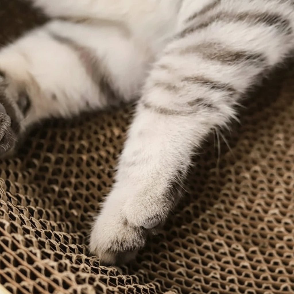 CLAWCRADLE – Multifunctional oval scratching board & lounging corrugated cardboard bed