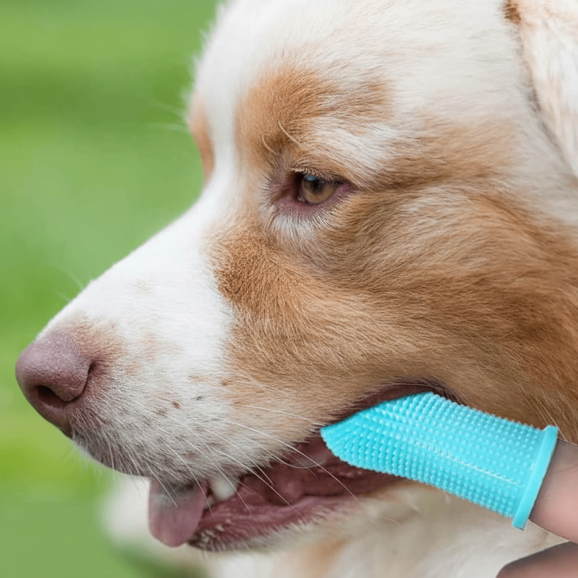 PAWCLEAN PRO - 360° silicone finger toothbrush for safe dental care for dogs