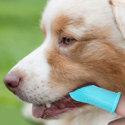 PAWCLEAN PRO - 360° silicone finger toothbrush for safe dental care for dogs