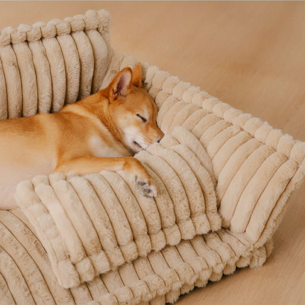 Snoozy Dream - Orthopaedic dog cushion with neck support & fluffy comfort