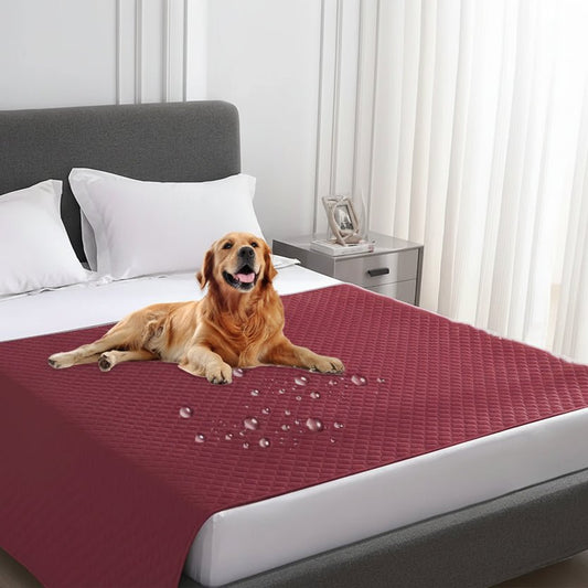 PAWSEAL – Leak-proof water-repellent pet blanket for protecting furniture