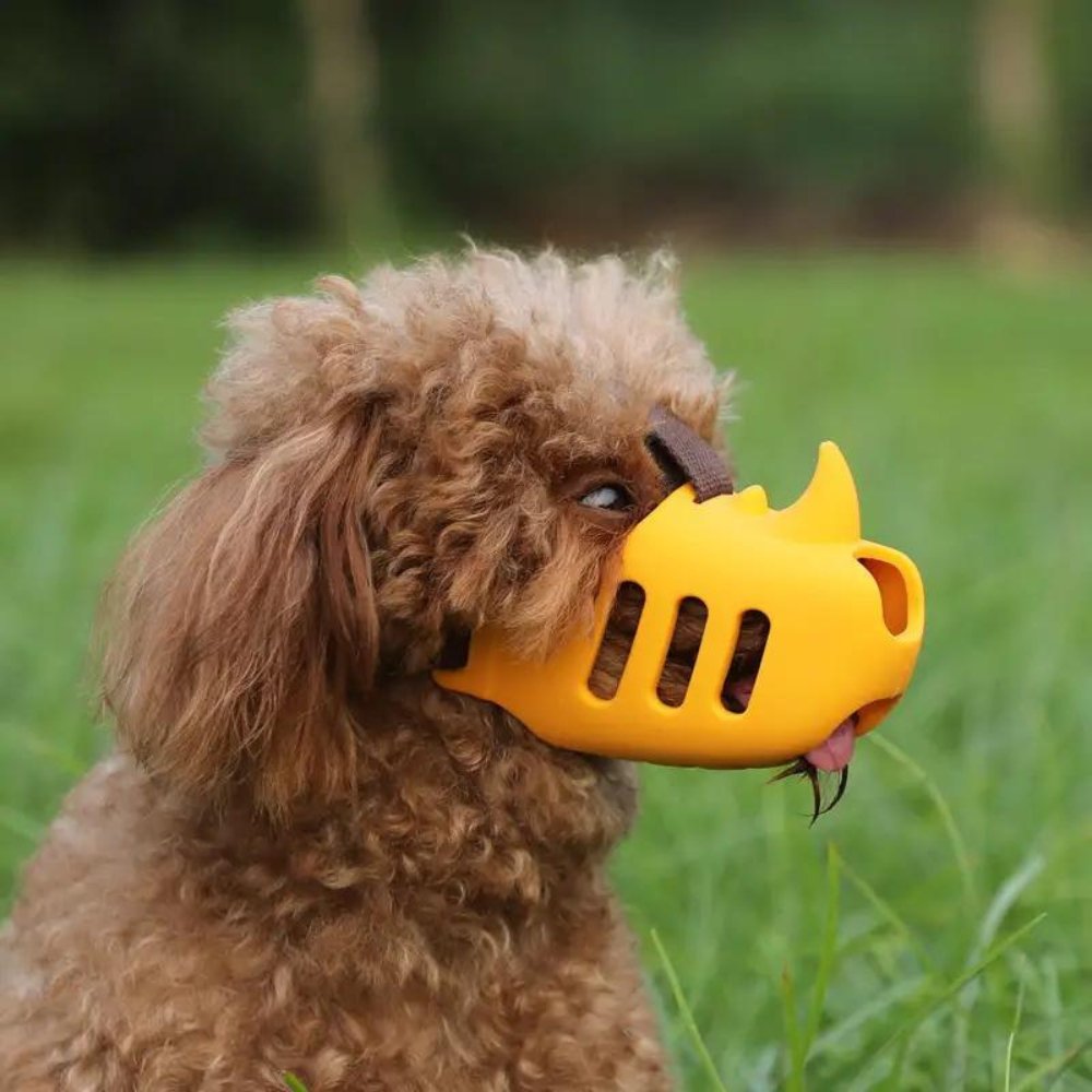 FURLOCK – Adjustable & Breathable Muzzle for Daily Comfort