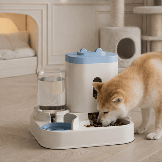 BOWLFREUND – Natural Food & Water Supply for Pets