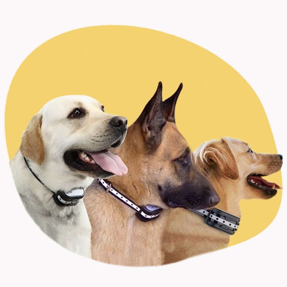 BARKZONE 300 – Wireless Dog Fence & Training Collar System