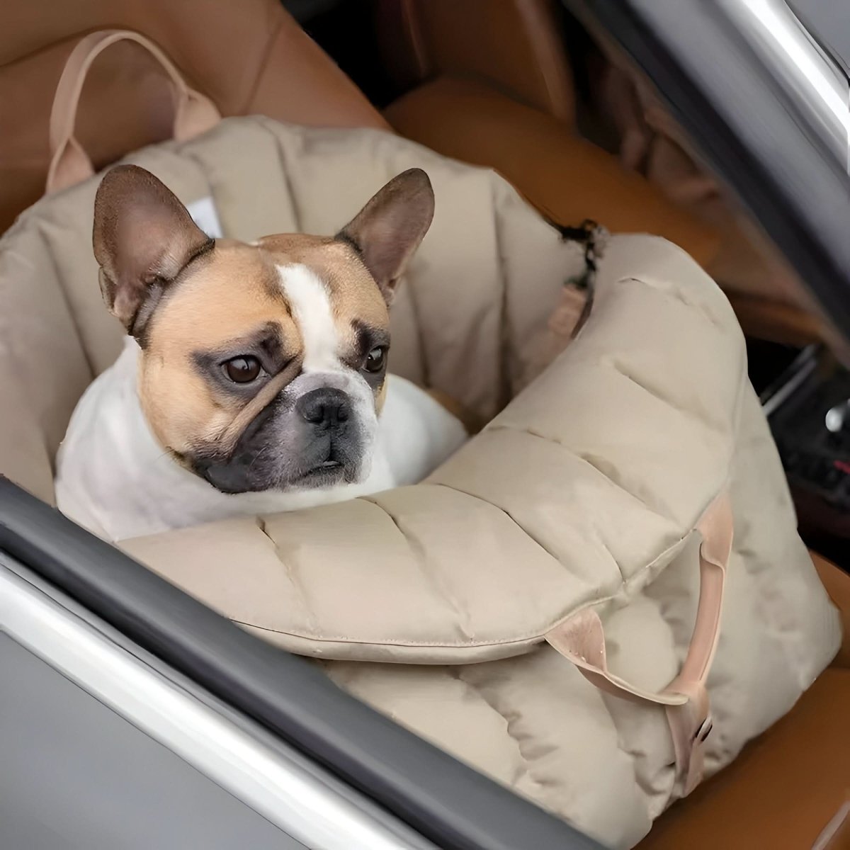 PAWPURSE – Lightweight dog carrier bag with warm lining & safety belt for on the go