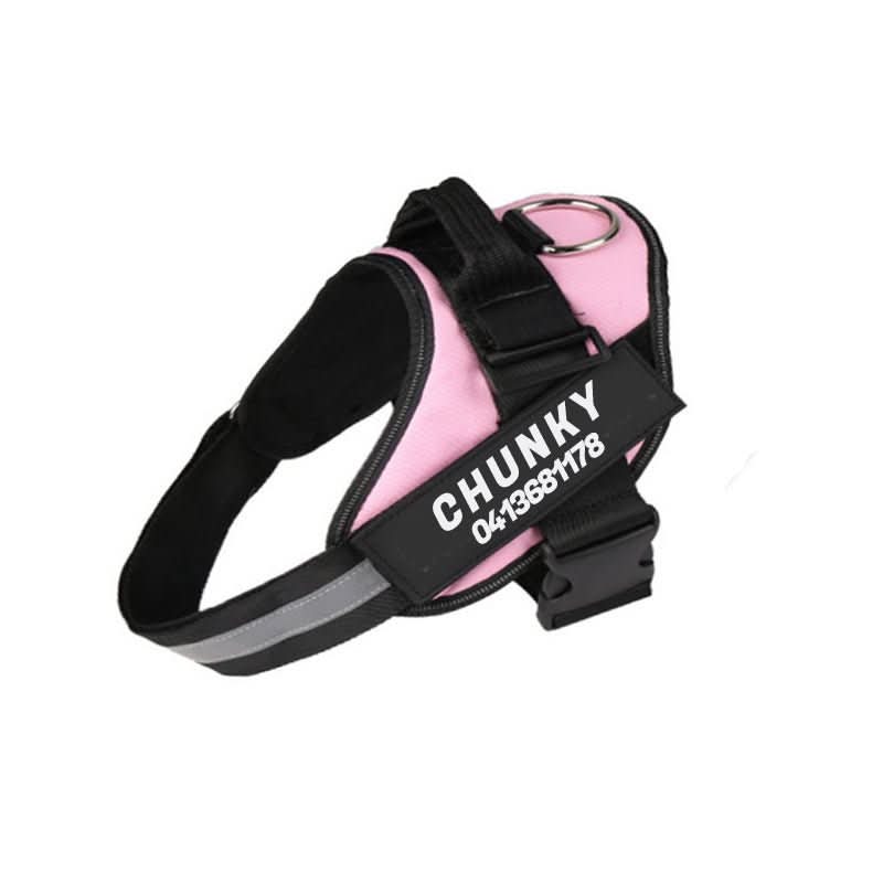 DOGSAFE HARNESS - Personalisable dog harness for comfort & safety