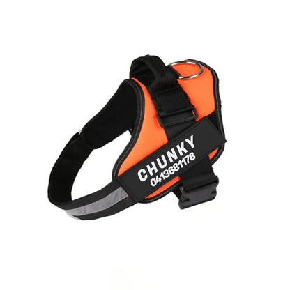 DOGSAFE HARNESS - Personalisable dog harness for comfort & safety