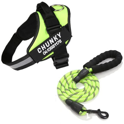 DOGSAFE HARNESS - Personalisable dog harness for comfort & safety