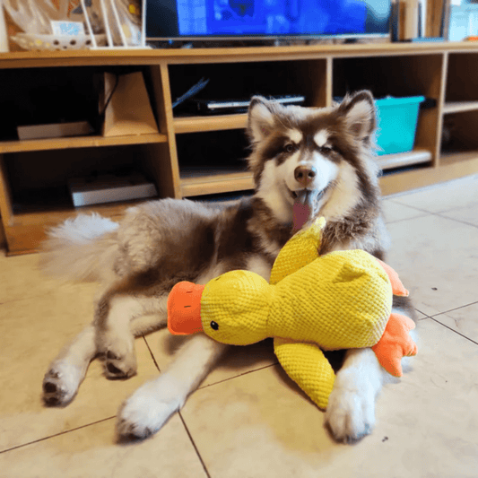SnuggleBeak Plush Toy for Dogs | Soft Squeaky Duck | Durable Cuddly Toy | Comfort Toy | Dog Accessories