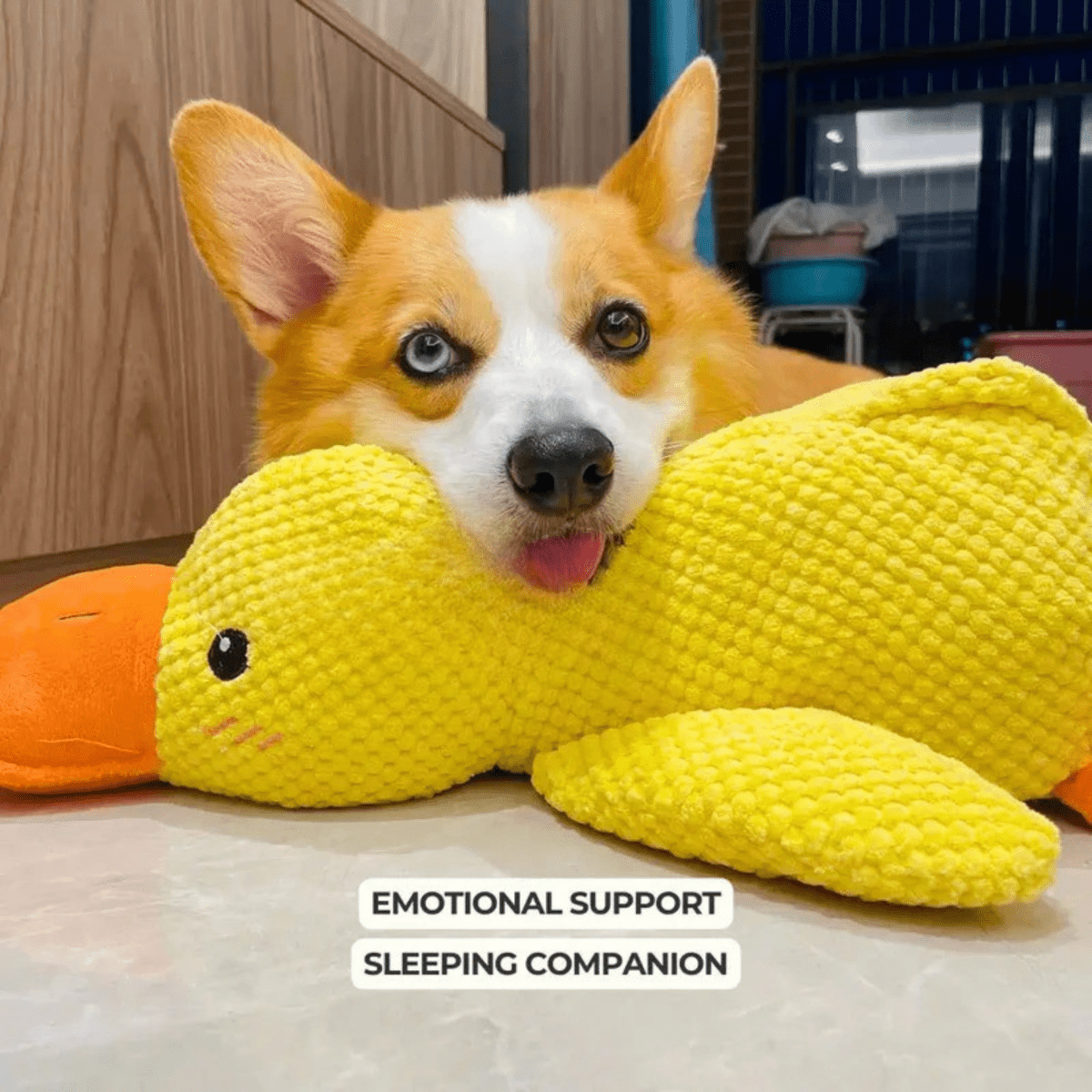 SnuggleBeak Plush Toy for Dogs | Soft Squeaky Duck | Durable Cuddly Toy | Comfort Toy | Dog Accessories