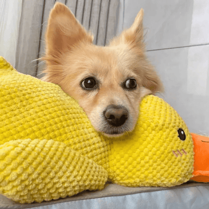 SnuggleBeak Plush Toy for Dogs | Soft Squeaky Duck | Durable Cuddly Toy | Comfort Toy | Dog Accessories