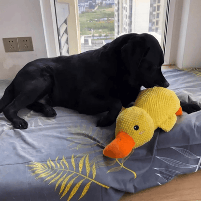 SnuggleBeak Plush Toy for Dogs | Soft Squeaky Duck | Durable Cuddly Toy | Comfort Toy | Dog Accessories