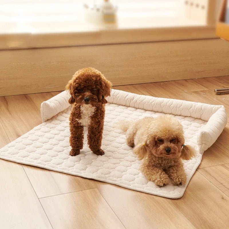 SOFASAFE – Cozy Non-Slip Dog Blanket for Protecting Furniture