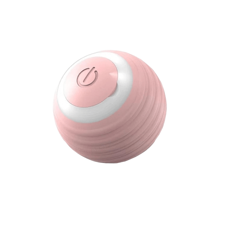 PLAYPET Interactive Dog Ball – Rechargeable Bouncing Ball