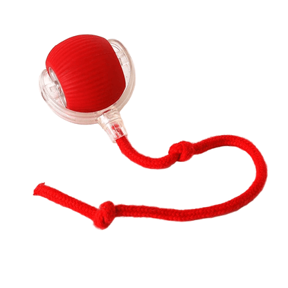 PLAYPET Interactive Dog Ball – Rechargeable Bouncing Ball
