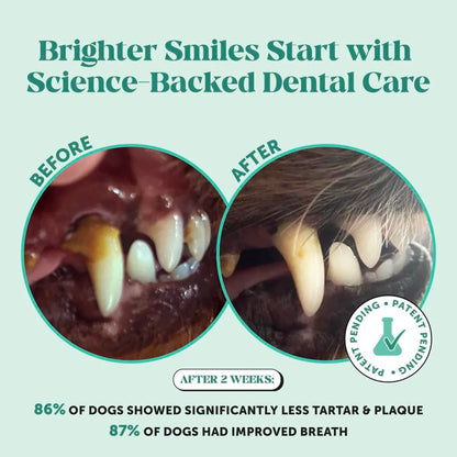 Dog Dental Powder Breath Freshener for Teeth Cleaning, Plaque & Tartar Remover – Kelp & Mint Dental Care for Dogs