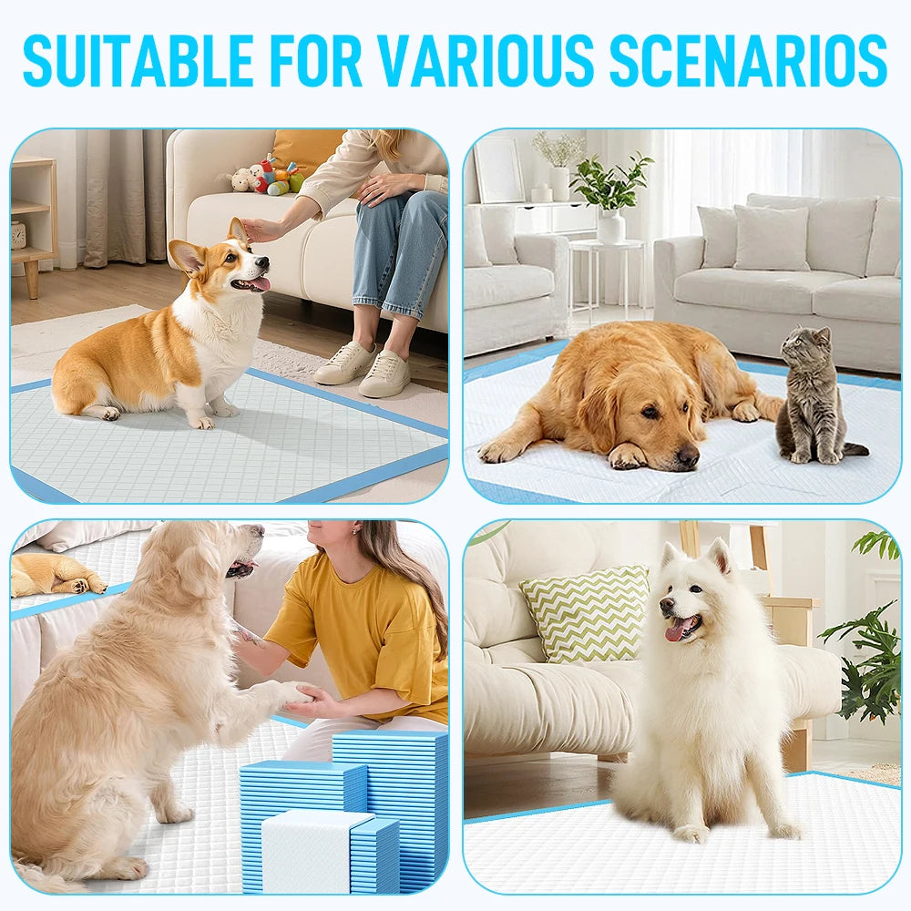 100PCS Super Absorbent Pet Training Pads | Leak-Proof Quick-Drying Disposable Pee Pads for Dogs & Cats, Puppy Housebreaking, Senior Incontinence & Travel Use