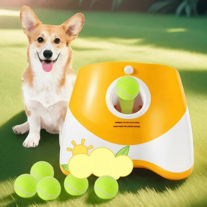 PLAYFETCH – Automatic Ball Thrower for Dogs