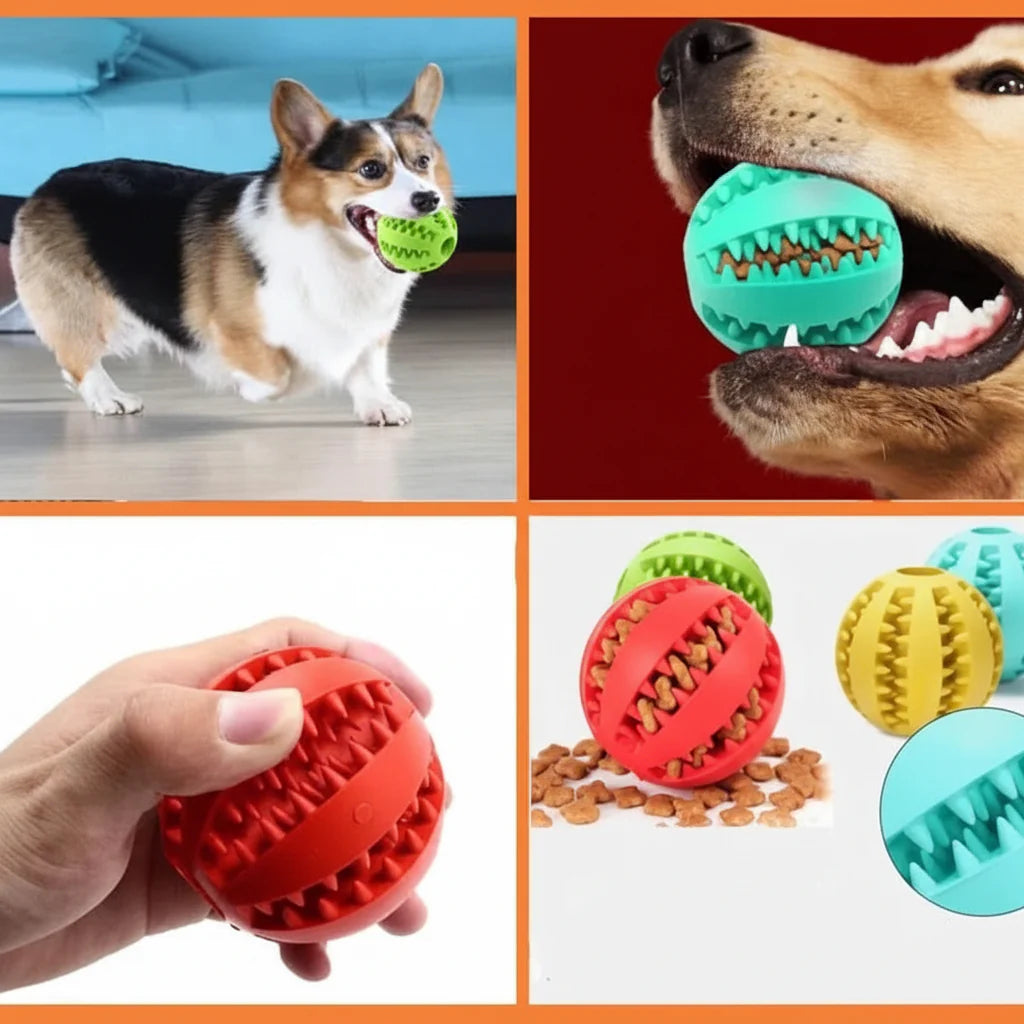 PLAYNIBBLE BALL – Interactive Treat Ball & Chew Ball for Dogs