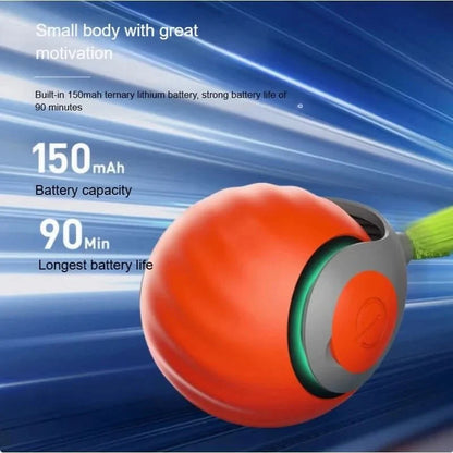 PLAYPAWS – USB Interactive Rolling Toy with Imitation Tail