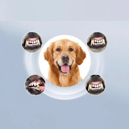 PAWCLEAN – Ultrasonic Tartar Remover for Pets